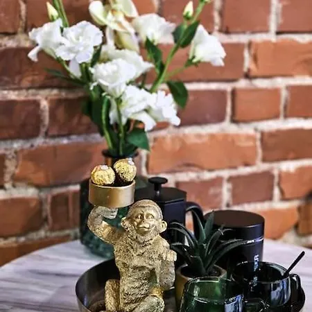 Urban-glam Centre With A Gym And Terrace * Tallin